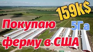 Покупаю заброшенную ферму в США для содержания овец