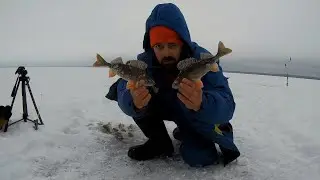 Сямозеро|Куха Губа|Дала рыбки