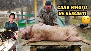 Аэрация пруда🌊 Свежина🐖 Кровяная колбаса😋 ВЫПУСК 11