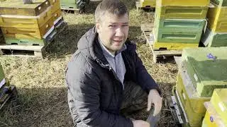 Как не запарить пчел при  перевозке и потравах ( Намордник на улей ППУ Нижегородец)