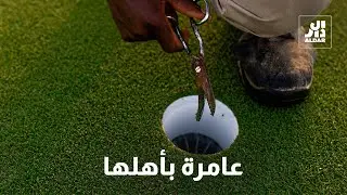 جولف