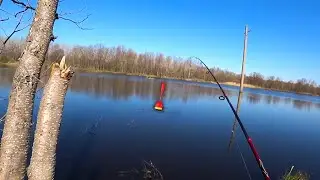 ВОТ ТАК Я ПОПАЛ НА КЛЕВ КАРАСЯ!!! ловля карася на озере на поплавок.