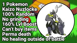If We Don't PB Soon... I'll Snap • Pokemon Emerald Kaizo Ironmon