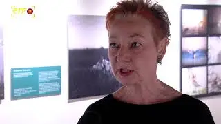 Die besten Naturfotos des Jahres im Naturkundemuseum Reutlingen