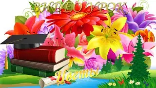 Цветы (развитие речи для детей 4 - 6 лет)