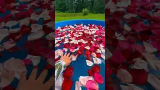 Иди сюда… здесь круто# купель# база отдыха Береза🫶🏻