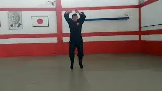 Ryo ashi tobi keri