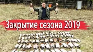 Закрытие сезона охоты на уток 2019