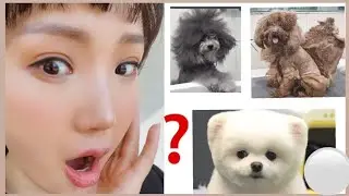 ҮСЧИН ОРДОГ НОХОЙНУУД ГЭНЭ ээ 😳😳😳