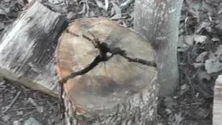 Powder wedge