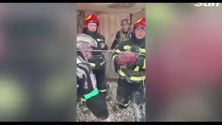 KURTARMA EKİBİ YIKINTILARIN ARASINDAKİ YAVRU KÖPEĞİ SAĞ ÇIKARDI