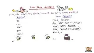 Food from Animals