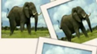 Video aula em português Photoshop CS5 - Efeito Polaroid (HD)