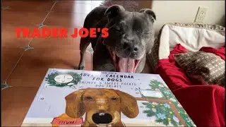 Trader Joe's Dog Advent Calendar 2022 - STAFFY HOLIDAY MOMENTS #2