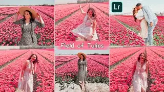 Field of Tulips Preset - Lightroom Mobile Presets DNG | Tulips Preset | Flowers Preset