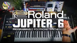 The Roland Jupiter 6 is highly underrated.