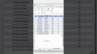 Excel - 1 Click Data Format 