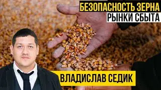 Почему Украина рискует потерять рынки сбыта зерна? | Владислав Седик | Элеваторист