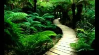 musique miraculeuse 4_mpeg4.mp4