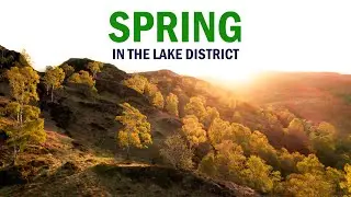 SPRING LANDSCAPE PHOTOGRAPHY | Holme Fell, The Lake District