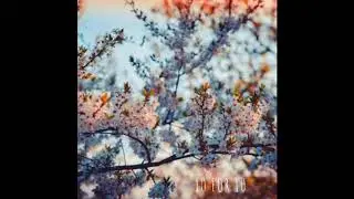 Loop Kit 