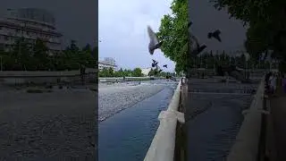 Сочи🌲🌴🐬