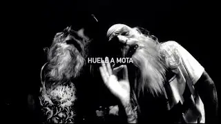 Los Viejos / La calle huele a mota / lyric video