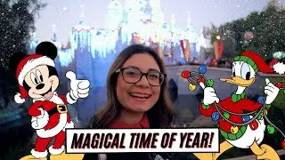 Best Food at Disneyland for the Holidays in 2021