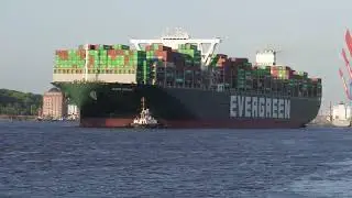 Ever Genius in Hamburg/Germany  [4K]