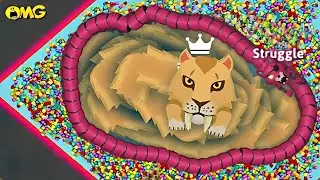 snake.io🐍Wolfy snake skin🐍Wolfy snake party,Zero to Hero gameplay||Snake Struggle