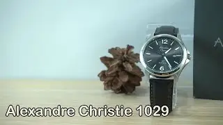 Full vie Alexandre Christie 1029 Primo Steel