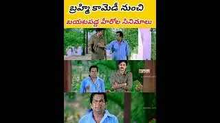 బ్రహ్మి కామెడీ నుంచి బయటపడ్డ హీరోల సినిమాలు 