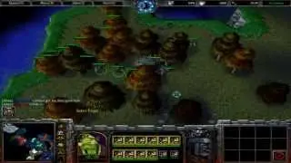 Warcraft 3 TFT - Island Settlers #1