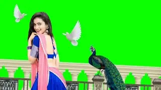 3d Beautiful girl green background status video template