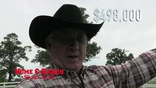 Akansas Cattle Ranch, Priced to sale