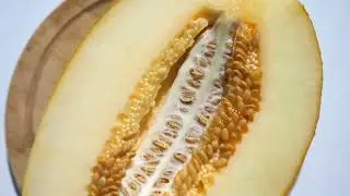 CASTOR OIL for vaginal health. Is it SAFE? 