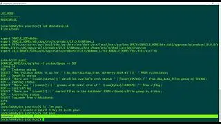 Use password non interactively in shell script for oracle database