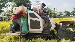 MESIN COMBINE PADI KECIL LINCAH