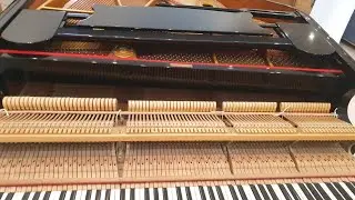 piano packing
