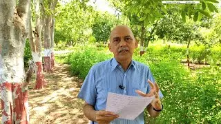 વિશ્વ ૫ર્યાવરણ દિવસ : ચાલો ૫ર્યાવરણ જાળવણીમાં યોગદાન આપીએ.