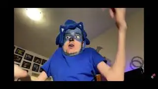 The Real Sonic The Hedgehog