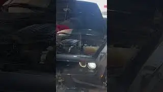 Dyno pulls are always awesome