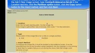 Globe Forensics Lab8.4