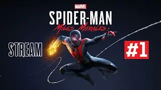 Spider-man Майлз Моралес Стрим 1