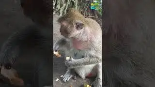 fresh fruits🐒❤️.