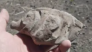 Небольшая каменная сенсация.