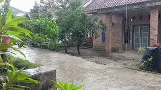 Real Rain Falling in a Quiet Village 🌧️