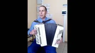Розенбаум. Баян кавер. Утки.