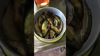 Дядя Валера !..спасибо огромное !!!