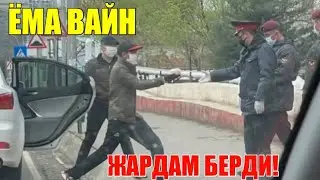 ЁМА ВАЙН / ЖАРДАМ БЕРДИ!